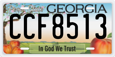 GA license plate CCF8513