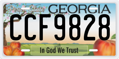 GA license plate CCF9828