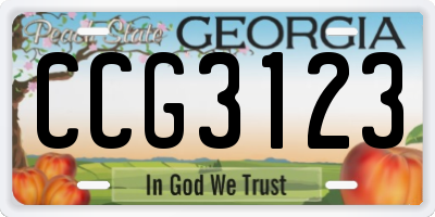 GA license plate CCG3123
