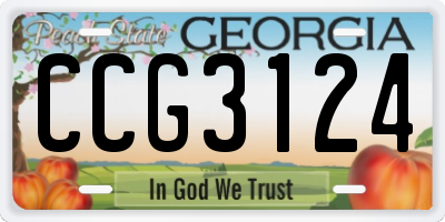 GA license plate CCG3124