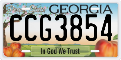 GA license plate CCG3854