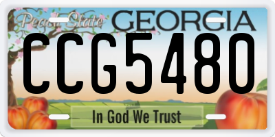 GA license plate CCG5480
