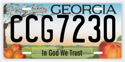 GA license plate CCG7230