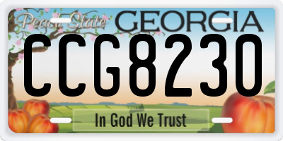 GA license plate CCG8230
