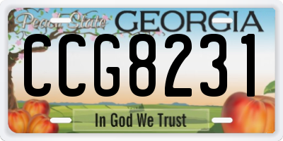 GA license plate CCG8231