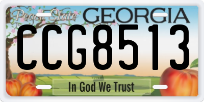 GA license plate CCG8513