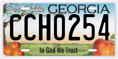 GA license plate CCH0254