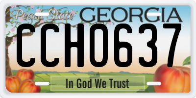 GA license plate CCH0637