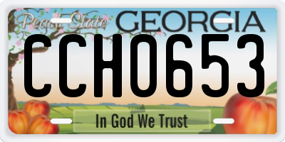 GA license plate CCH0653