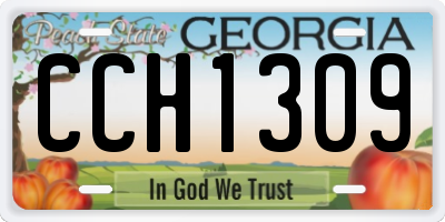 GA license plate CCH1309