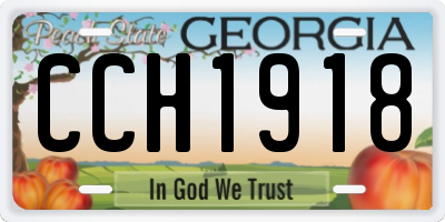 GA license plate CCH1918