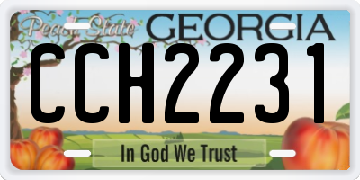 GA license plate CCH2231