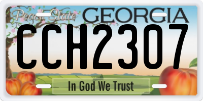 GA license plate CCH2307