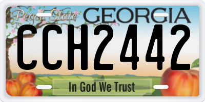 GA license plate CCH2442