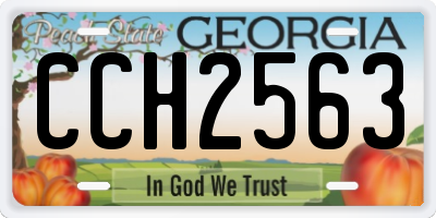 GA license plate CCH2563