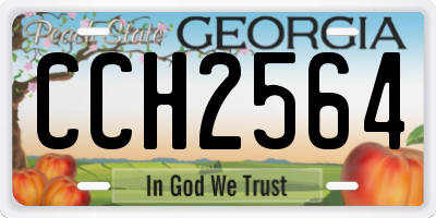 GA license plate CCH2564