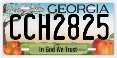 GA license plate CCH2825