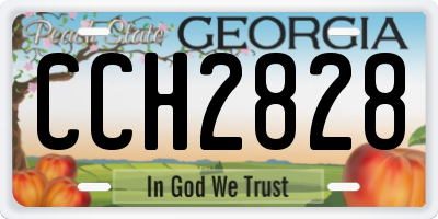 GA license plate CCH2828