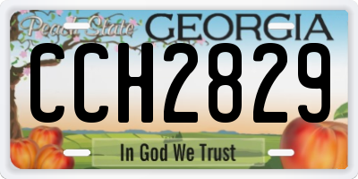 GA license plate CCH2829