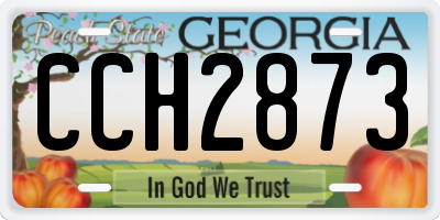 GA license plate CCH2873