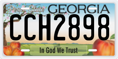 GA license plate CCH2898