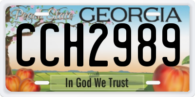GA license plate CCH2989