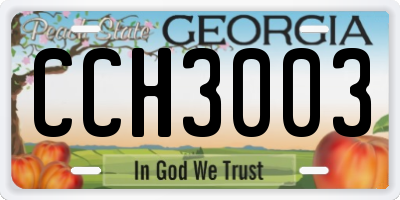 GA license plate CCH3003