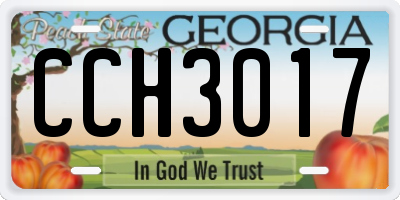 GA license plate CCH3017