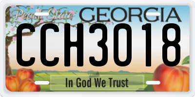 GA license plate CCH3018