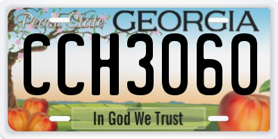 GA license plate CCH3060