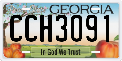 GA license plate CCH3091