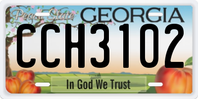 GA license plate CCH3102
