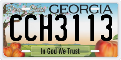 GA license plate CCH3113