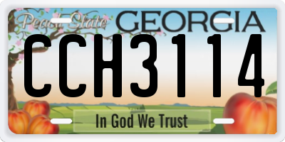 GA license plate CCH3114