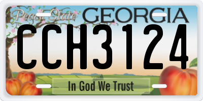 GA license plate CCH3124