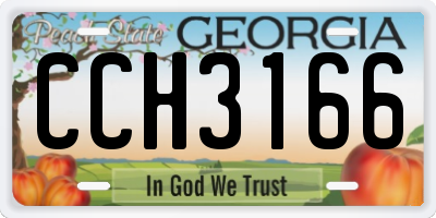GA license plate CCH3166