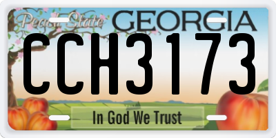 GA license plate CCH3173