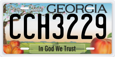 GA license plate CCH3229