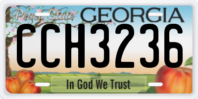GA license plate CCH3236