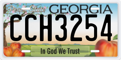 GA license plate CCH3254