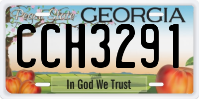 GA license plate CCH3291