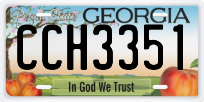 GA license plate CCH3351