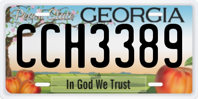 GA license plate CCH3389