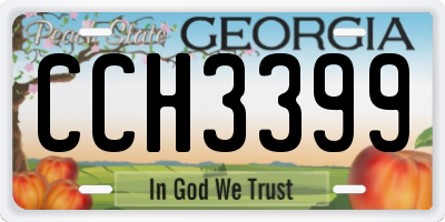 GA license plate CCH3399