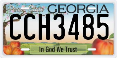 GA license plate CCH3485