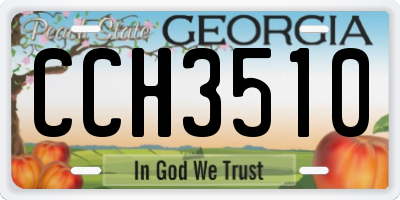 GA license plate CCH3510