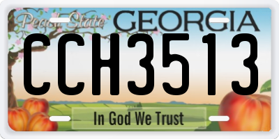 GA license plate CCH3513