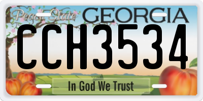 GA license plate CCH3534