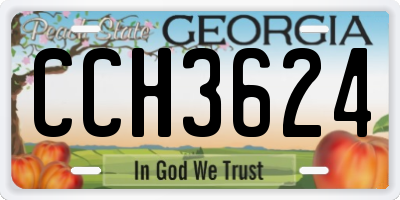 GA license plate CCH3624