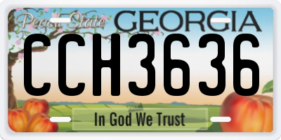 GA license plate CCH3636
